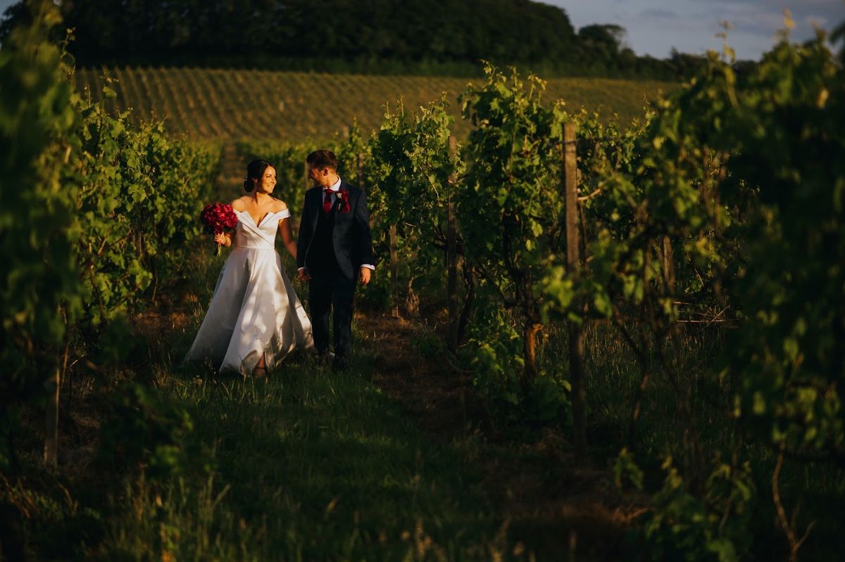 Gallery Item 4 for Denbies Wine Estate