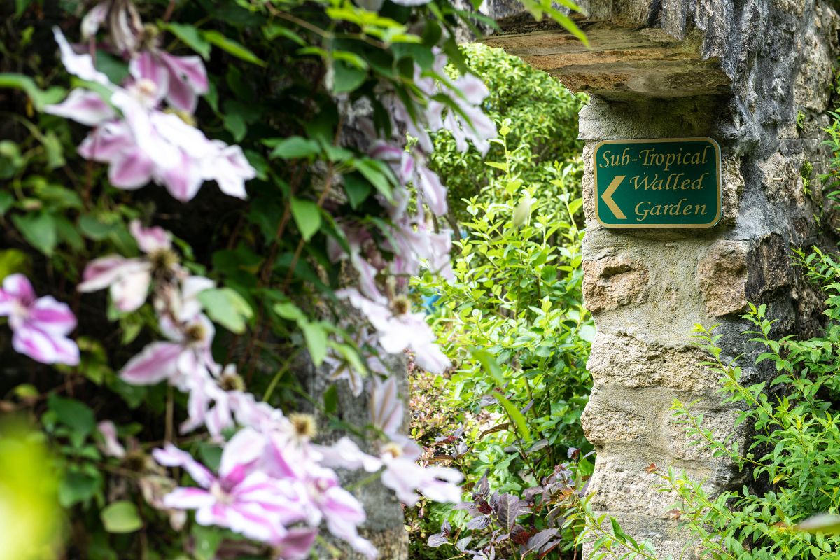 Gallery Item 13 for Tregenna Castle Hotel