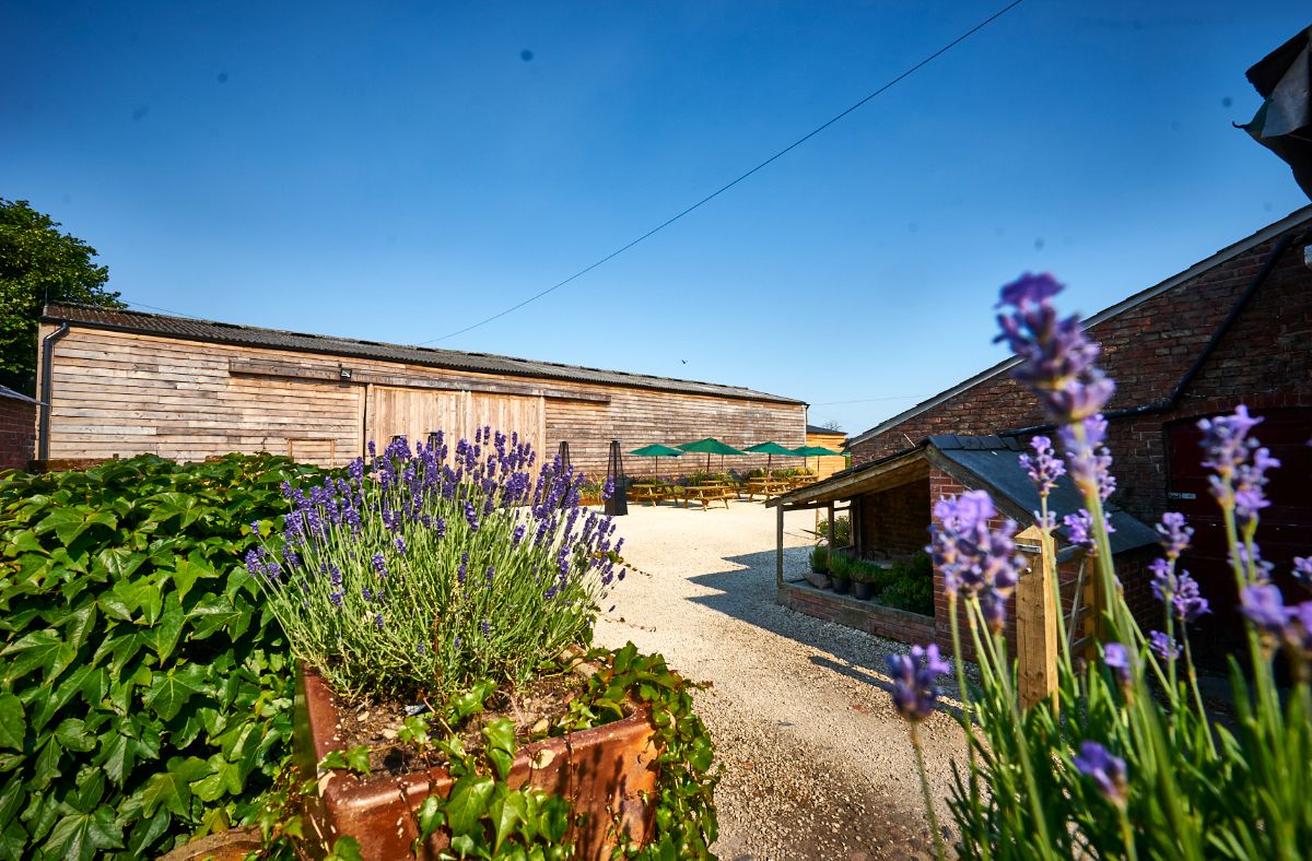 Gallery Item 3 for Stock Farm Wedding and Events Barn